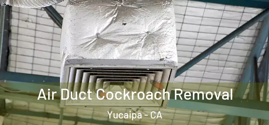 Air Duct Cockroach Removal Yucaipa - CA