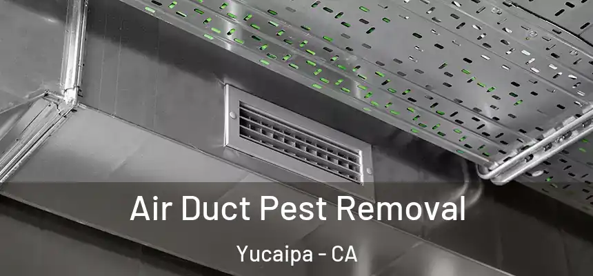  Air Duct Pest Removal Yucaipa - CA