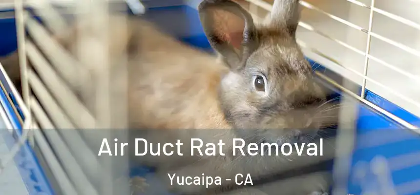 Air Duct Rat Removal Yucaipa - CA