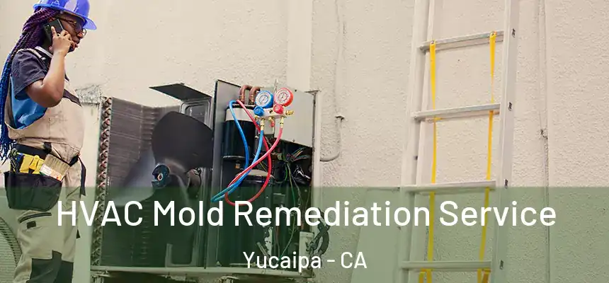  HVAC Mold Remediation Service Yucaipa - CA
