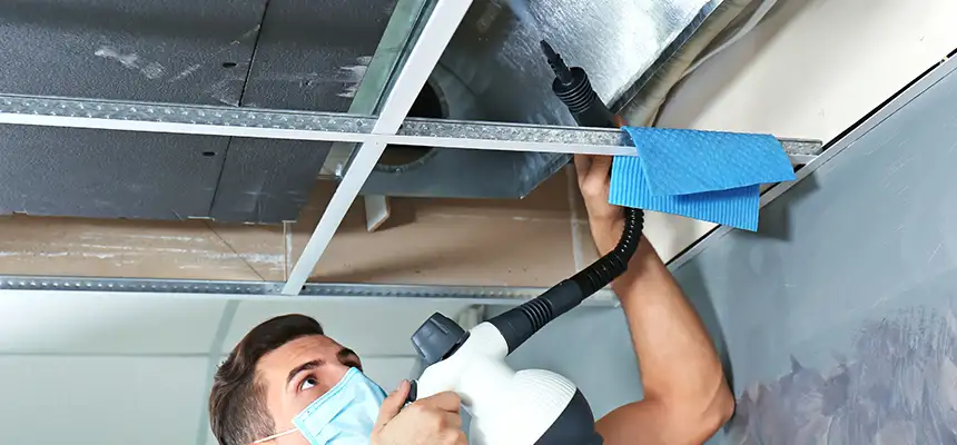 Our Air Duct Rodent Removal Services in Yucaipa, CA