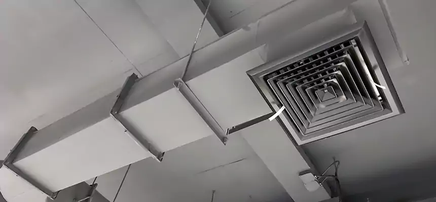 Our Pest Removal From Ducts Services in Yucaipa, CA