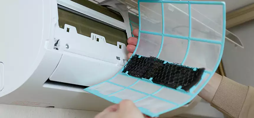 Gentle Ductwork Odor-Control Pet Dander Duct Cleaning in Yucaipa, CA