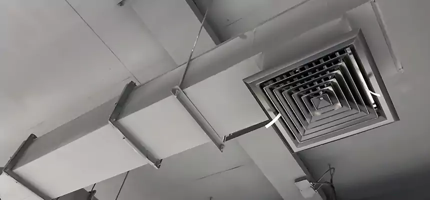 Our Rodent Droppings In Vents Services in Yucaipa, CA