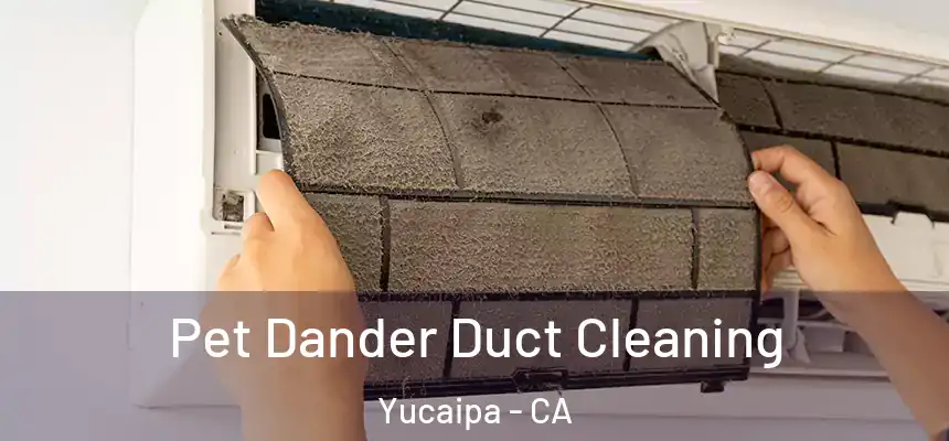  Pet Dander Duct Cleaning Yucaipa - CA