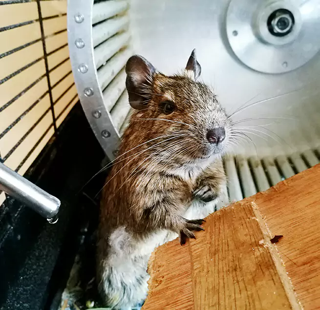 Why Homeowners & Businesses Trust Us Yucaipa, CA